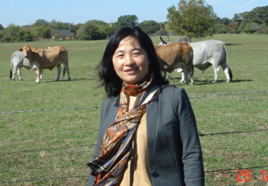 天英足球即时比分