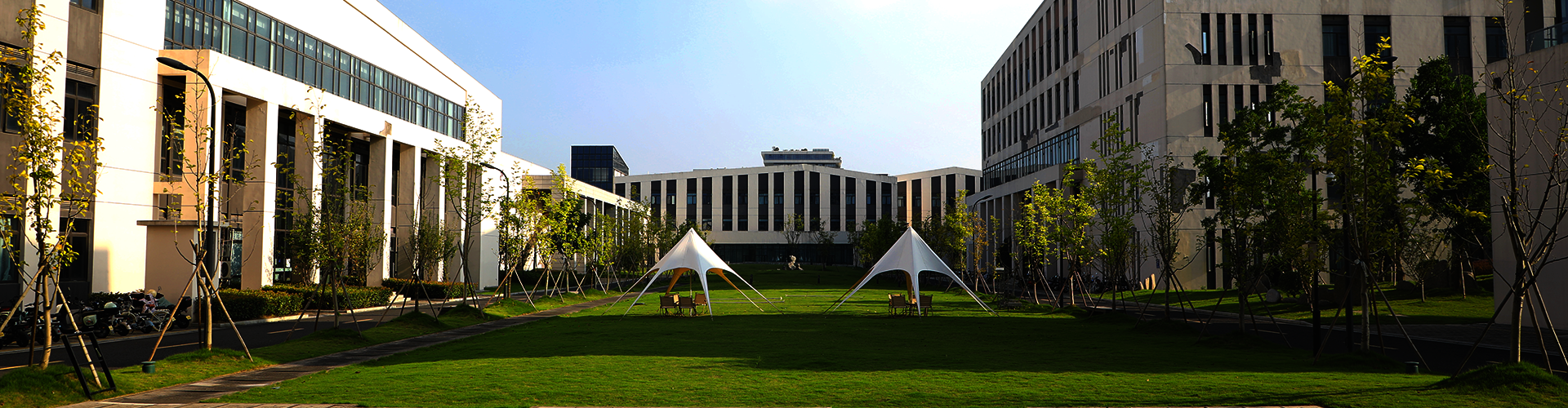 天英足球即时比分