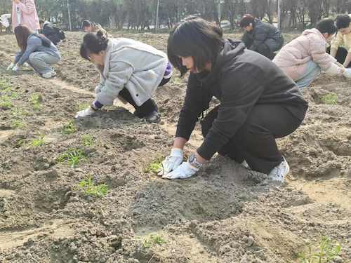 mmexport1741931347966