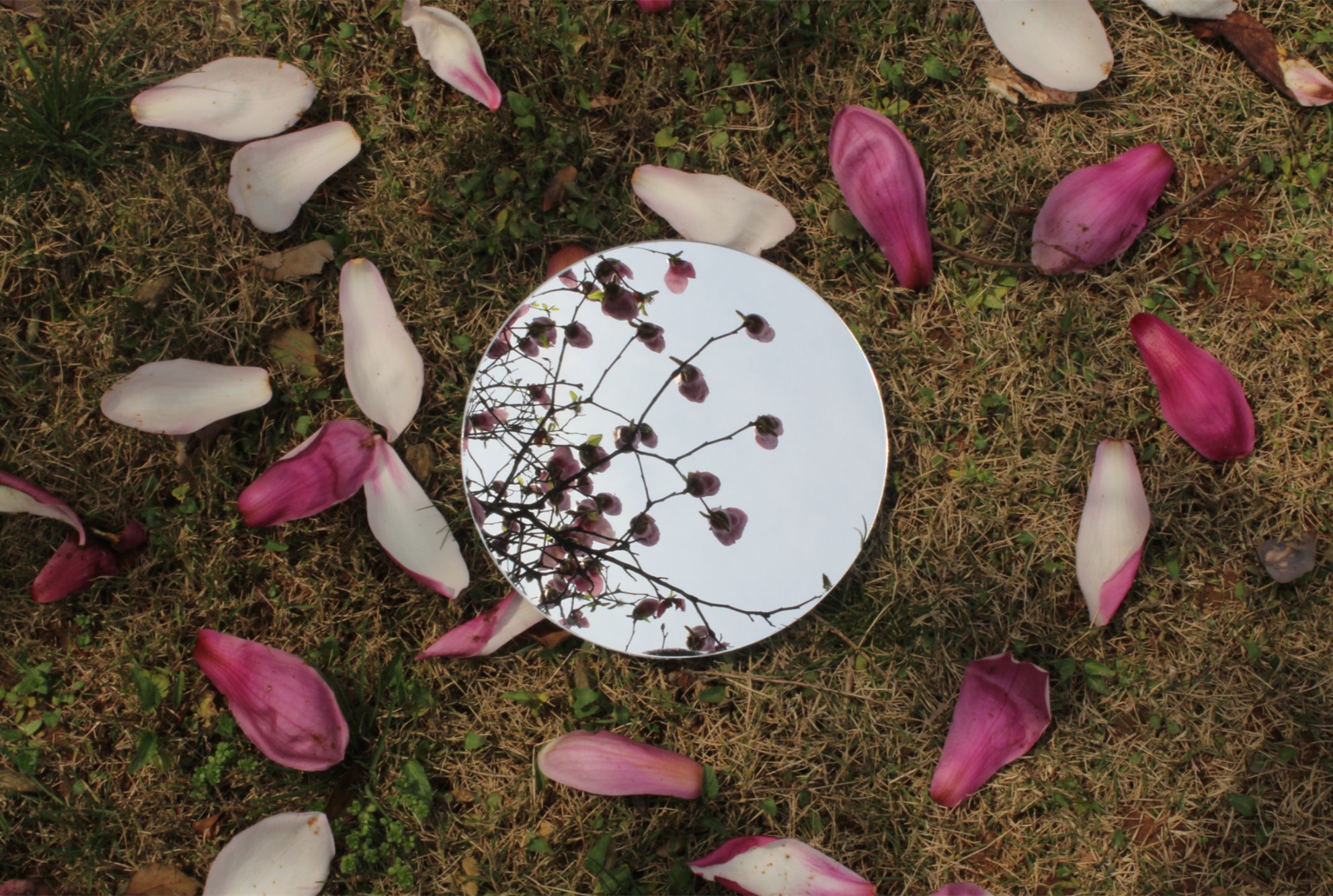 1494836158643497.jpg 图片1_副本.jpg